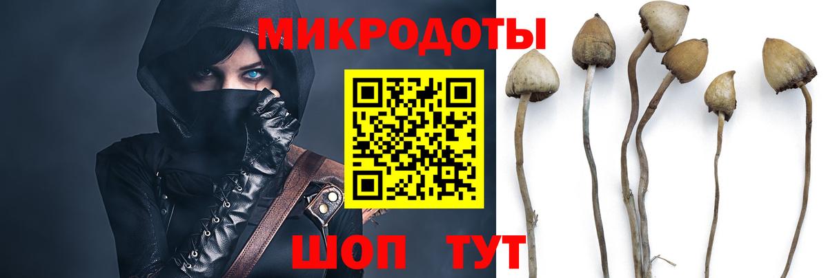 где купить наркоту  Вход с VPN  Ижевск  Галлюциногенные грибы MAGIC MUSHROOMS 